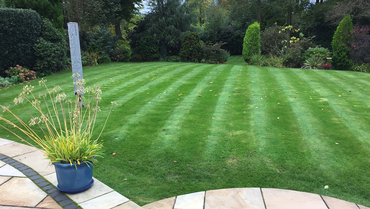 Lawn Care in Burntwood