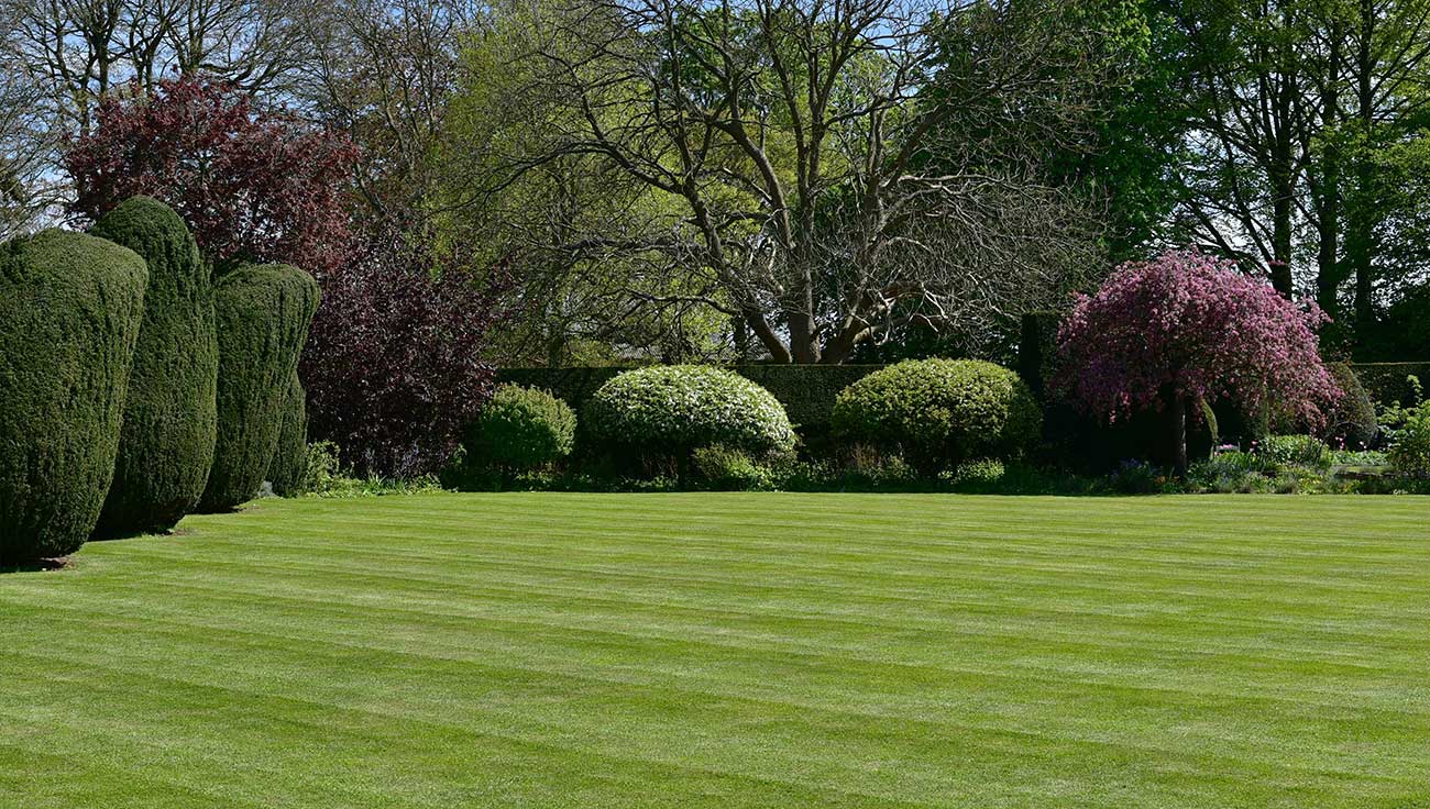 Lawn Care Hammerwich